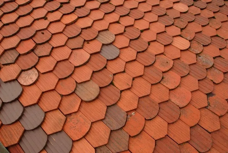 terracota exagonal tiles